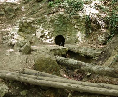 Прикрепленное изображение: IMGP6610.jpg